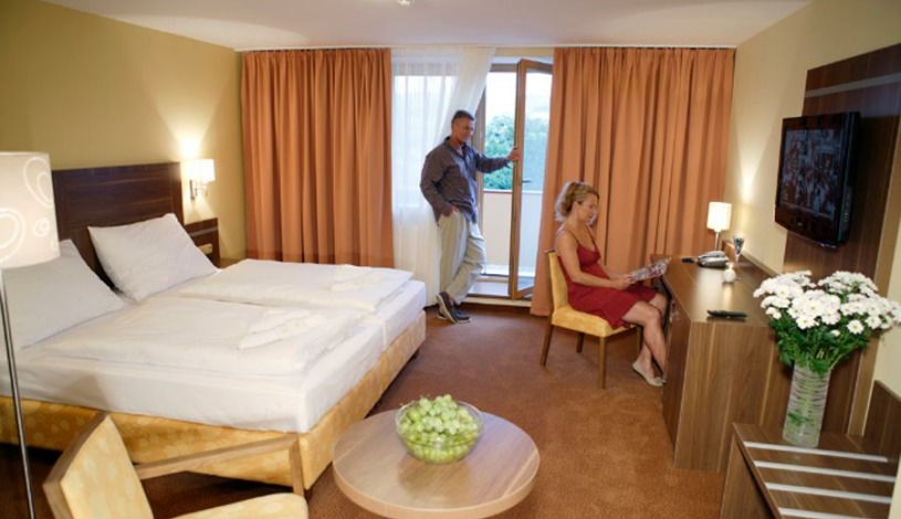 Wellness resort Energetic Rožnov pod Radhoštěm - Apartmán - standradní